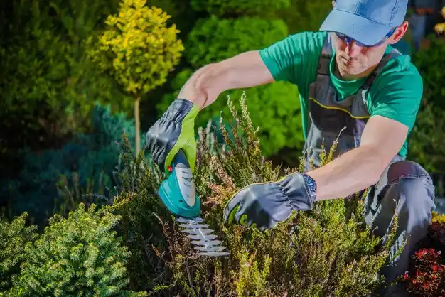 landscaping services Rapid City